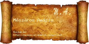 Mészáros Amázia névjegykártya